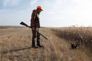 Köpeklerinle tarlada yürürken silahlı yetişkin bir avcı.