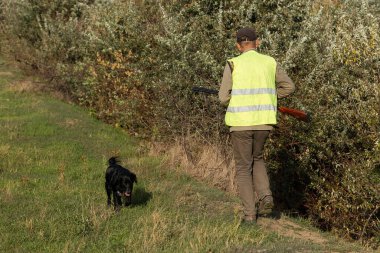 Mature man hunter with gun while walking on field with your dogs
