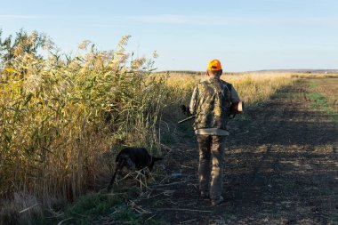 Mature man hunter with gun while walking on field.
