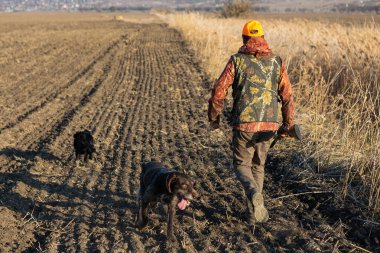 Mature man hunter with gun while walking on field.