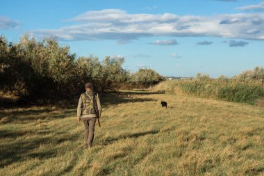 Mature man hunter with gun while walking on field with your dogs
