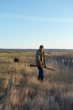 Mature man hunter with gun while walking on field with your dogs