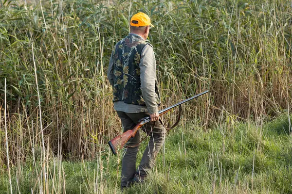 Mature man hunter with gun while walking on field.