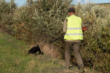 Mature man hunter with gun while walking on field with your dogs