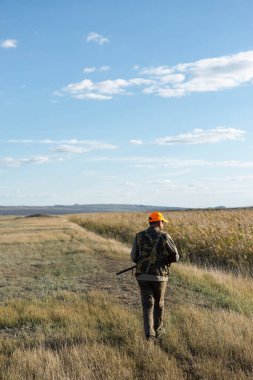 Mature man hunter with gun while walking on field.