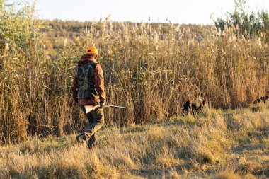 Mature man hunter with gun while walking on field.