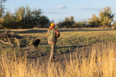 Köpeklerinle tarlada yürürken silahlı yetişkin bir avcı.