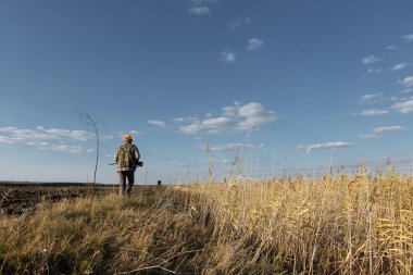 Mature man hunter with gun while walking on field.