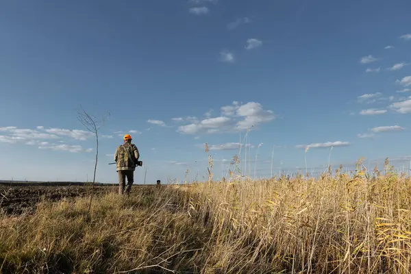 Mature man hunter with gun while walking on field.