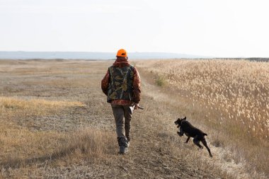 Köpeklerinle tarlada yürürken silahlı yetişkin bir avcı.