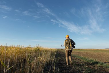 Mature man hunter with gun while walking on field.