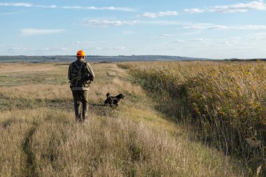 Mature man hunter with gun while walking on field.