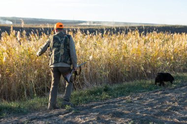 Mature man hunter with gun while walking on field.