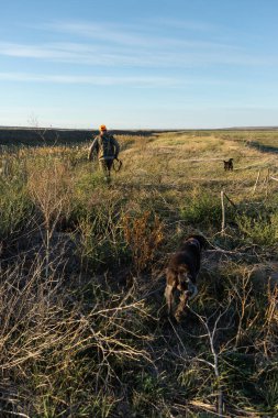 Mature man hunter with gun while walking on field.