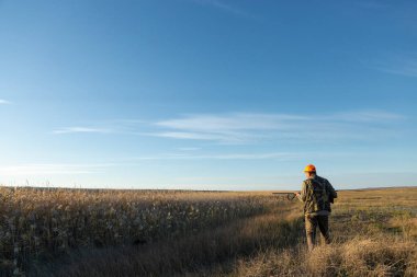 Mature man hunter with gun while walking on field.