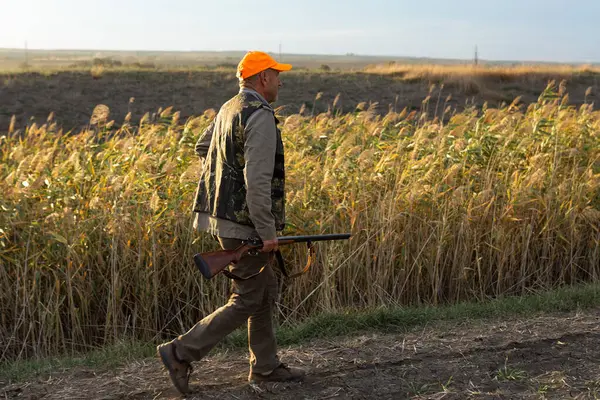 Mature man hunter with gun while walking on field.