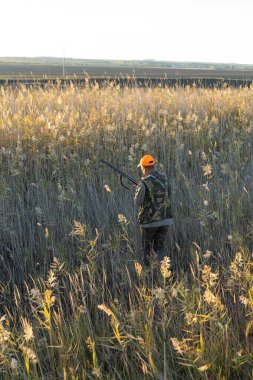 Mature man hunter with gun while walking on field.