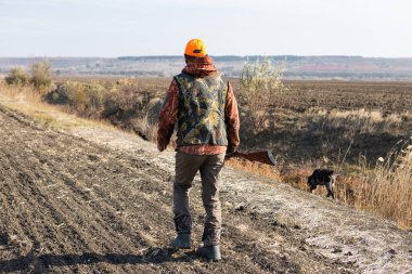 Mature man hunter with gun while walking on field with your dogs