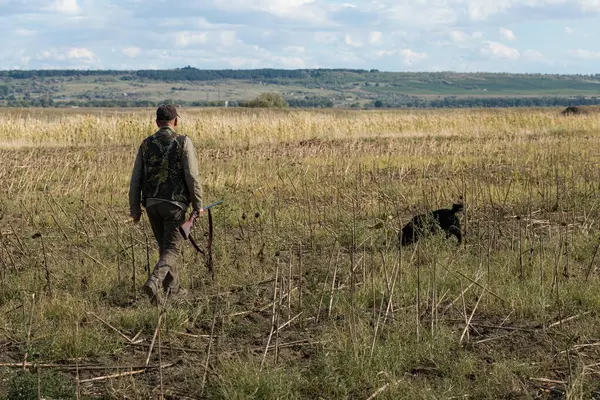Mature man hunter with gun while walking on field with your dogs