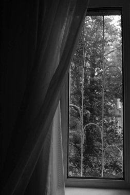Window and curtains, black and white photo of the house