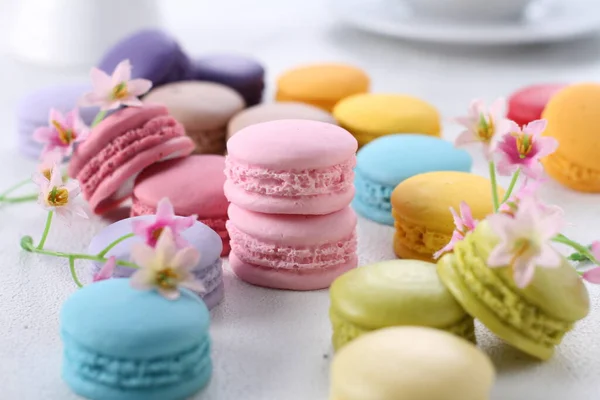 colorful macaroons and pink macarons on white background