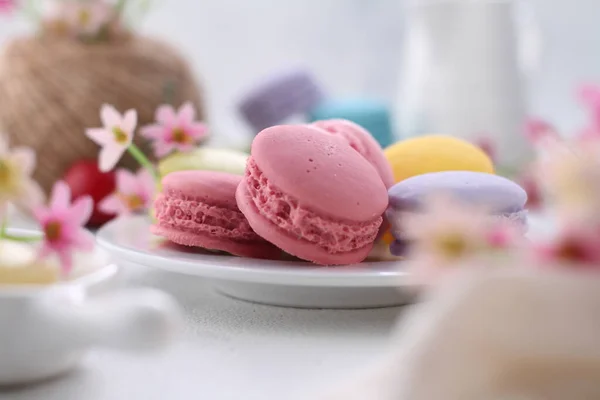 Een Macaron Frans Macaron Een Zoete Suikerspin Basis Van Meringue — Stockfoto