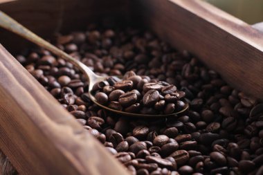 Kahve çekirdeği, kahve bitkisinin tohumu ve kahve kaynağıdır. Kırmızı ya da mor meyvenin içindeki çekirdek. Bu meyve sık sık bir kahve kirazı olarak adlandırılır. Tıpkı sıradan kirazlar gibi, kahve meyvesi de 