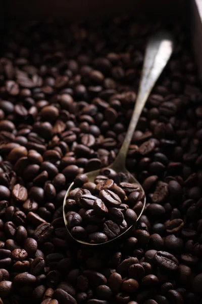 Grão Café Uma Semente Planta Coffea Fonte Para Café Pip — Fotografia de Stock