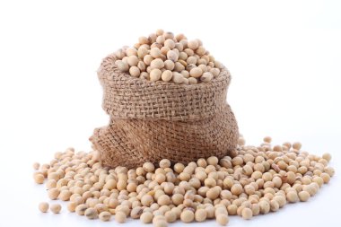 Tahta arka planda beyaz bir kasede soya fasulyesi.