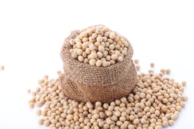 Beyaz kasedeki çiğ soya fasulyesi arka planda izole edilmiş.