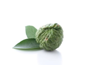 bergamot beyaz arkaplanda