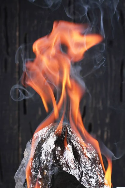 Oheň Lese Hořící Dřevo — Stock fotografie