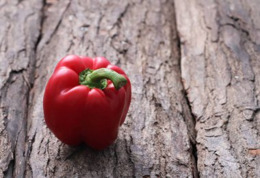 Ağaç kabuğunun arkasında kırmızı bir biber