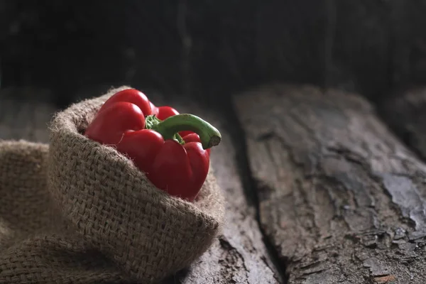 树皮后面的红辣椒 — 图库照片