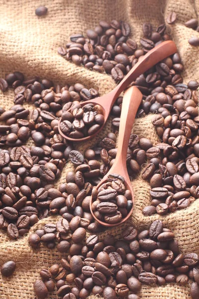 咖啡豆是咖啡植物的种子 也是咖啡的来源 它是红色或紫色果实里面的果皮 这种水果常被称为咖啡樱桃 — 图库照片