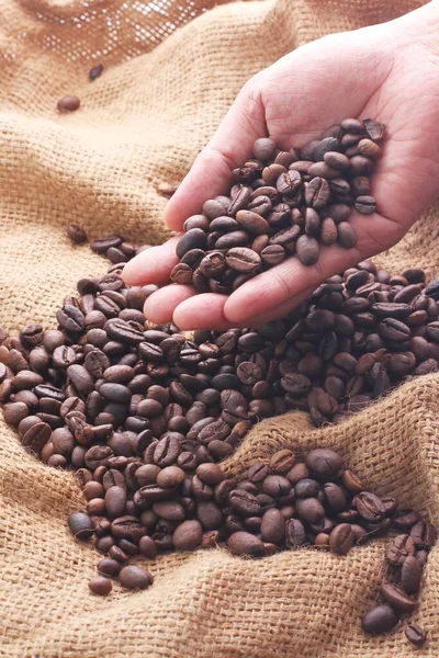 Eine Kaffeebohne Ist Ein Samen Der Kaffeepflanze Und Die Quelle — Stockfoto