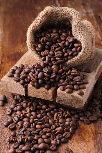 Een Koffieboon Een Zaad Van Coffea Plant Bron Voor Koffie — Stockfoto
