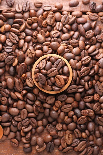 Een Koffieboon Een Zaad Van Coffea Plant Bron Voor Koffie — Stockfoto