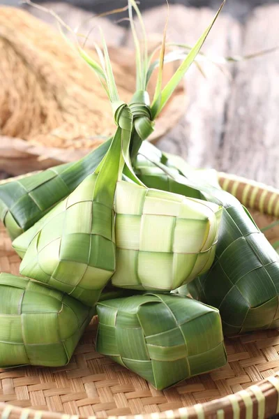 Corteza Ketupat Hojas Coco Jóvenes —  Fotos de Stock
