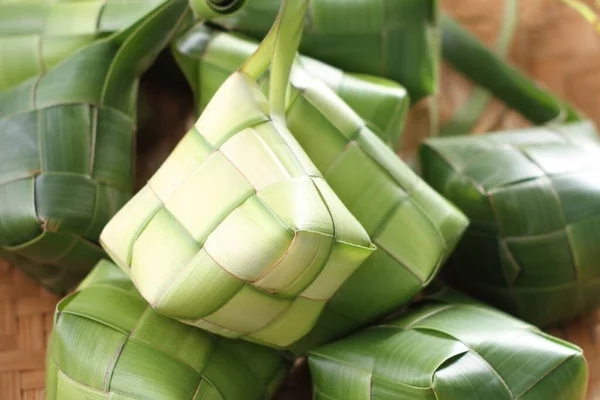 코코넛 잎에서 나는케 추야자 — 스톡 사진