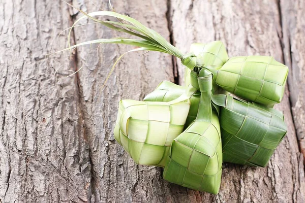 코코넛 잎에서 나는케 추야자 — 스톡 사진