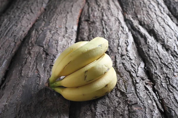 Banan Trä — Stockfoto