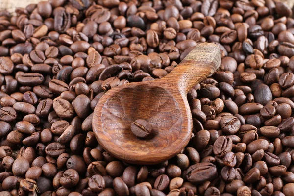 Ziarno Kawy Jest Ziarnem Rośliny Coffea Źródłem Kawy Jest Pip — Zdjęcie stockowe