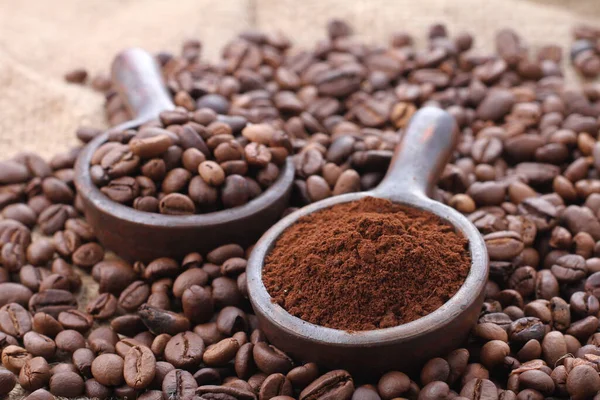 Kaffeböna Ett Frö Coffea Växten Och Källan Till Kaffe Det — Stockfoto