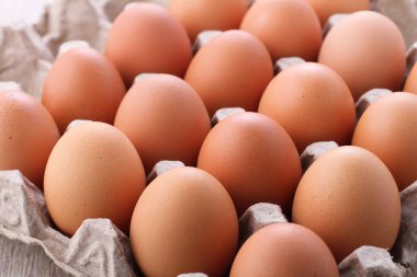 Parlak arkaplanda çiğ yumurta resimleri