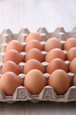 Parlak arkaplanda çiğ yumurta resimleri