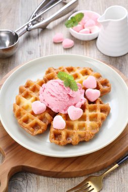 Çikolatalı ve vanilyalı dondurma.