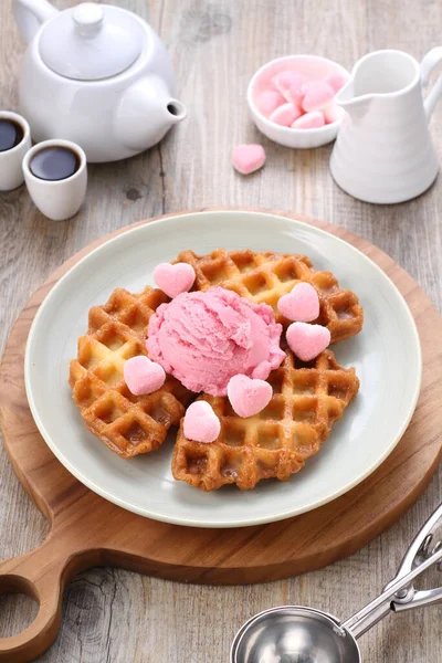 Delicious Waffle Chocolate Ice Cream — Stock Photo, Image