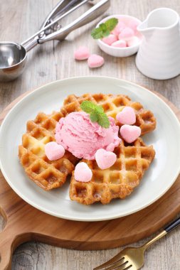 Çikolatalı ve vanilyalı dondurma.