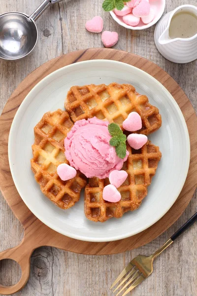 Waffle Chocolate Ice Cream — Stok fotoğraf